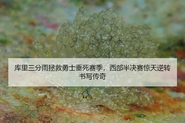 ku-li-san-fen-yu-zheng-jiu-yong-shi-chui-si-sai-ji-xi-bu-ban-jue-sai-jing-tian-ni-zhuan-shu-xie-chuan-qi-2-404.jpg