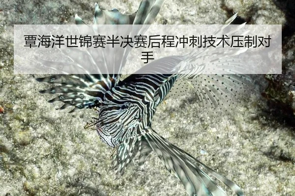 tan-hai-yang-shi-jin-sai-ban-jue-sai-hou-cheng-chong-ci-ji-shu-ya-zhi-dui-shou-3-979.jpg