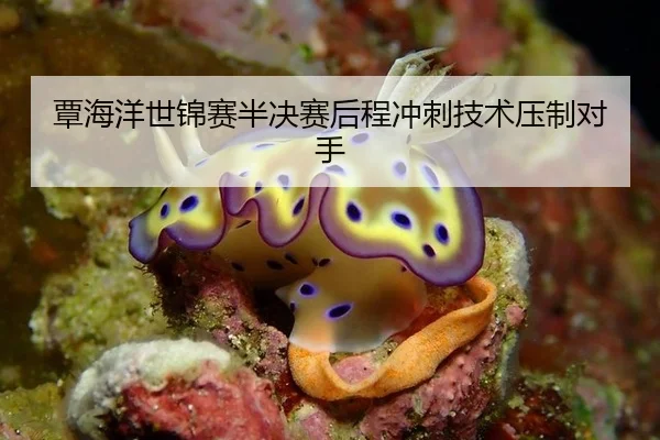 覃海洋世锦赛半决赛后程冲刺技术压制对手