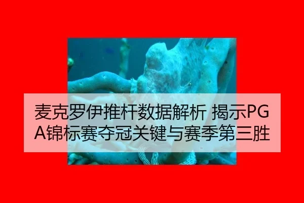 麦克罗伊推杆数据解析 揭示PGA锦标赛夺冠关键与赛季第三胜